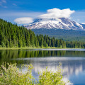 The Impact of Government Policies on Tourism and Economic Growth in Clackamas County, Oregon
