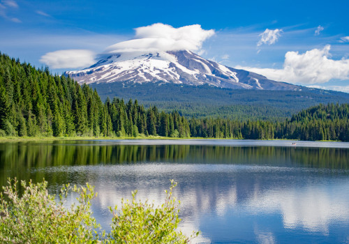 The Impact of Government Policies on Tourism and Economic Growth in Clackamas County, Oregon